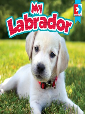 cover image of My Labrador